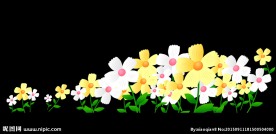 花卉动态视频