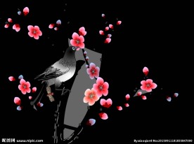 小鸟梅花动态视频
