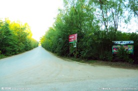 高原公路