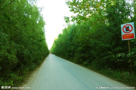 高原公路