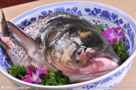 特色雄鱼头斤