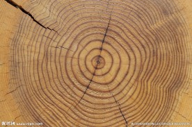 木纹肌理