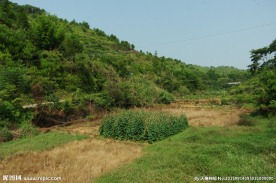 乡村山水 田园风光