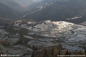 田园风光