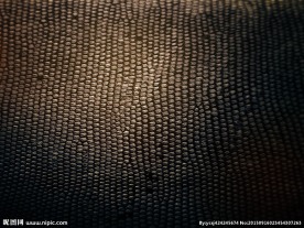 欧式点状花纹背景分层素材