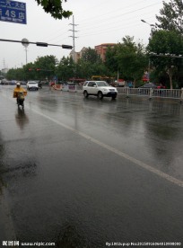 雨中