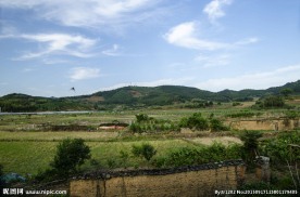 田原风光