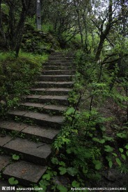 山间小路