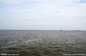 大海