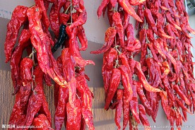鲜红辣椒摄影图片