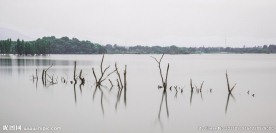 平静的湖面