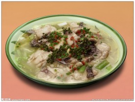 八中枣林鲶鱼