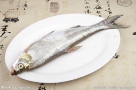 白水鱼
