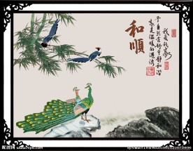 孔雀图