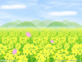油菜花动态背景视频
