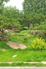 公园风景 旅游区风景