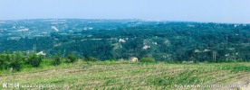山沟