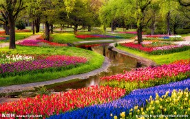花草公园