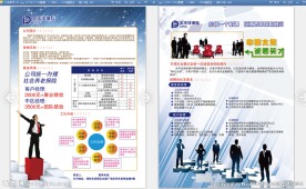 太平洋 保险  单页 宣传 彩