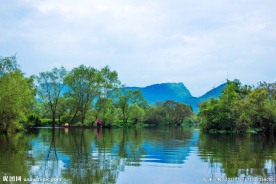 会仙湿地景观