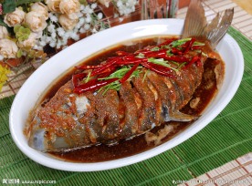 金牌鲤鱼