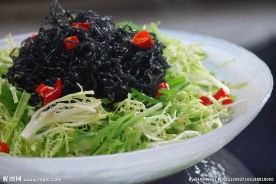 苦菊海发菜