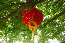 节日灯笼 灯笼高挂