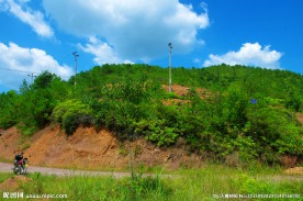 山水风景 森林公路