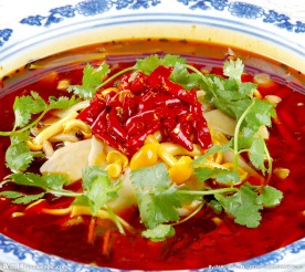 水煮真菌