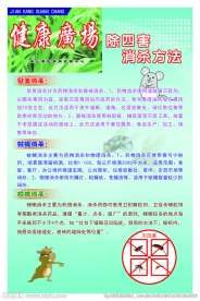 健康广场-除四害 保健康
