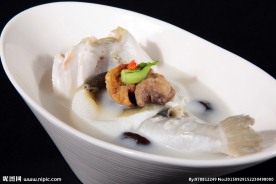 奶糖鲃鱼河豚好