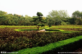 秋天的洛浦牡丹园