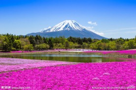 富士山