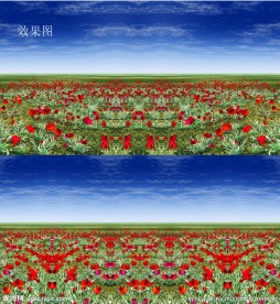 草原红花特效视频背景