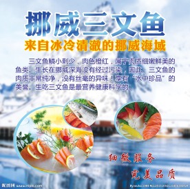 挪威三文鱼
