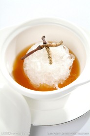 冬虫草烩官燕