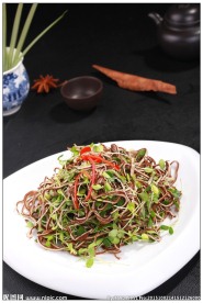 椿芽燕麦丝