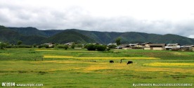 香格里拉