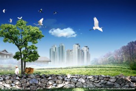 天上飞鸟 白云 房子树木