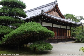 日本京都庭院