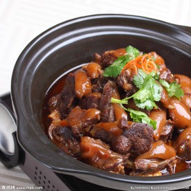 红焖狗肉