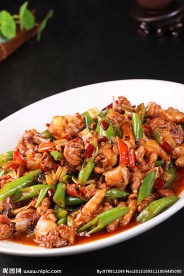 小炒鸡