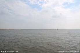大海
