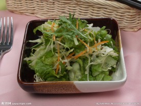 蔬菜沙拉