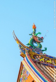燕尾脊
