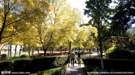 秋来北师大