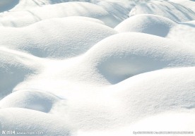 雪地