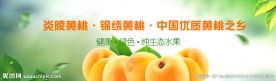 淘宝网站通栏banner水果