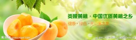 淘宝网站通栏banner水果