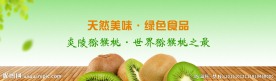 淘宝网站通栏banner水果